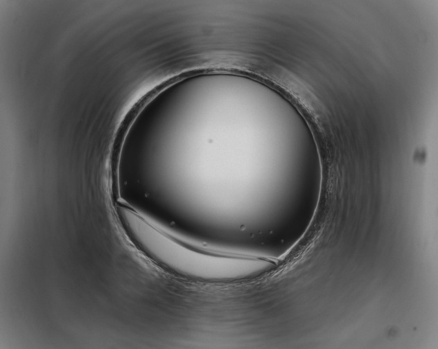 X0000098080936200804041145