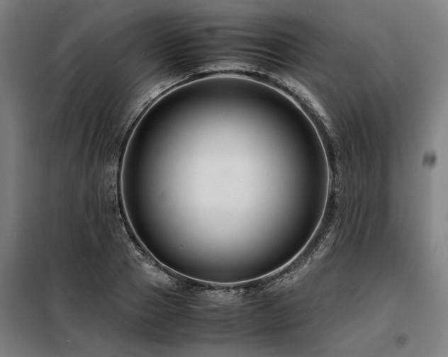 X0000098080937200804041145