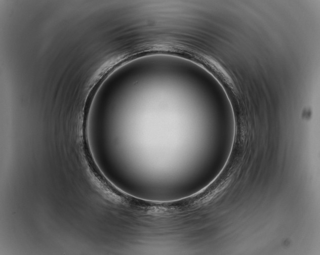 X0000098080938200804041145