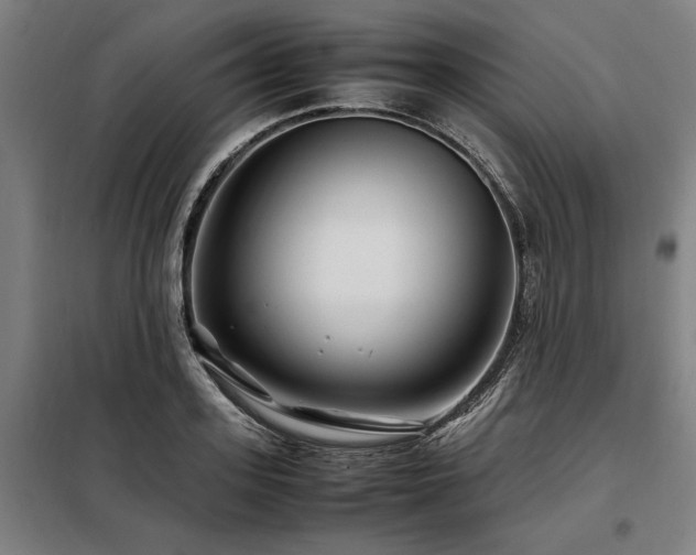 X0000098080939200804041145