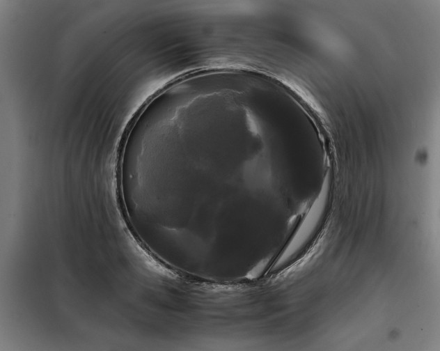 X0000098080941200804041145