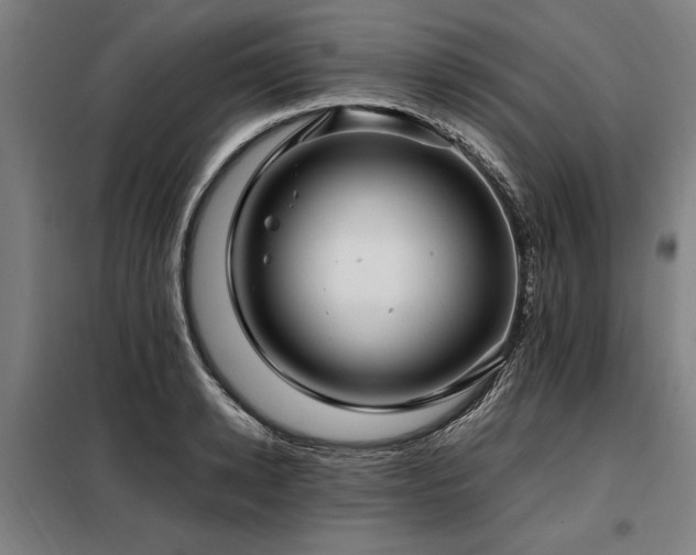 X0000098080942200804041145