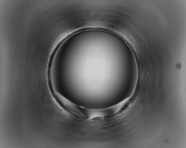 X0000098080943200804041145