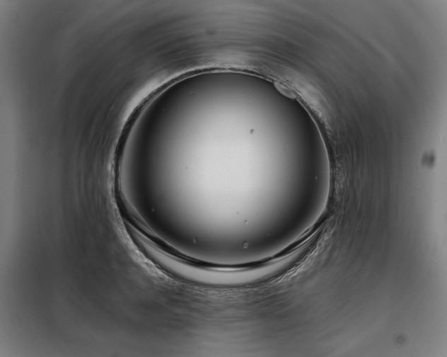X0000098080944200804041145