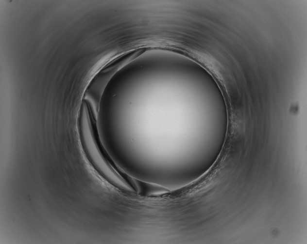 X0000098080946200804041145