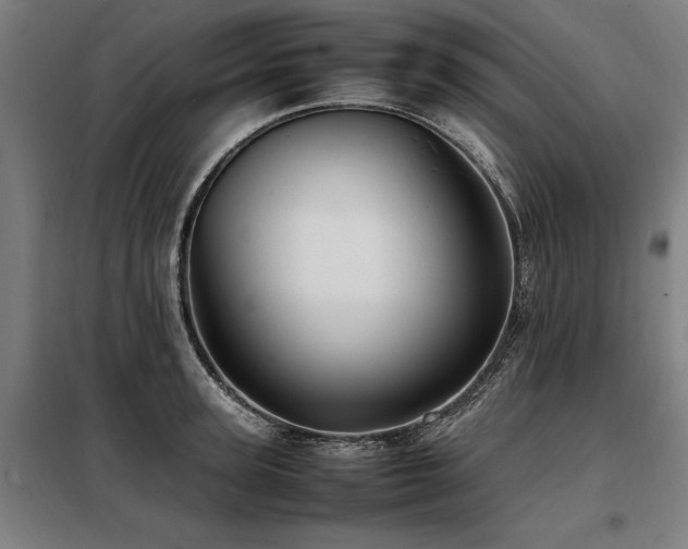 X0000098080947200804041145