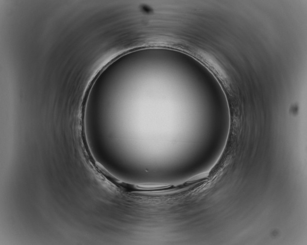 X0000098080948200804041145