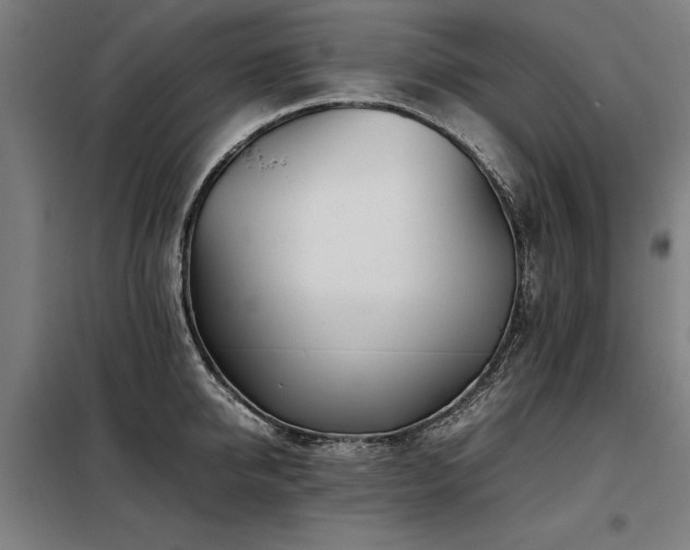 X0000098080950200804041145