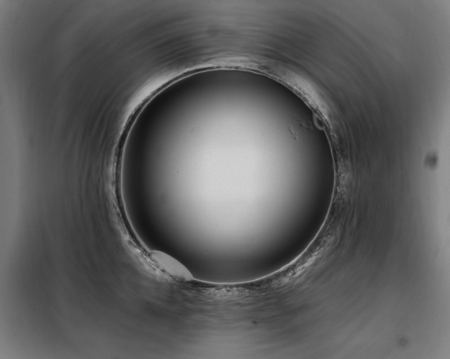 X0000098080952200804041145