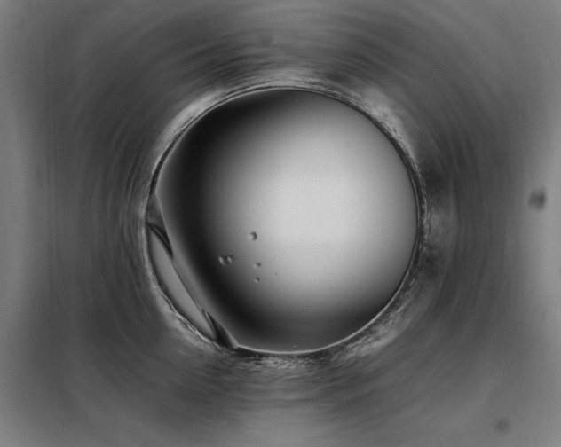 X0000098080954200804041145