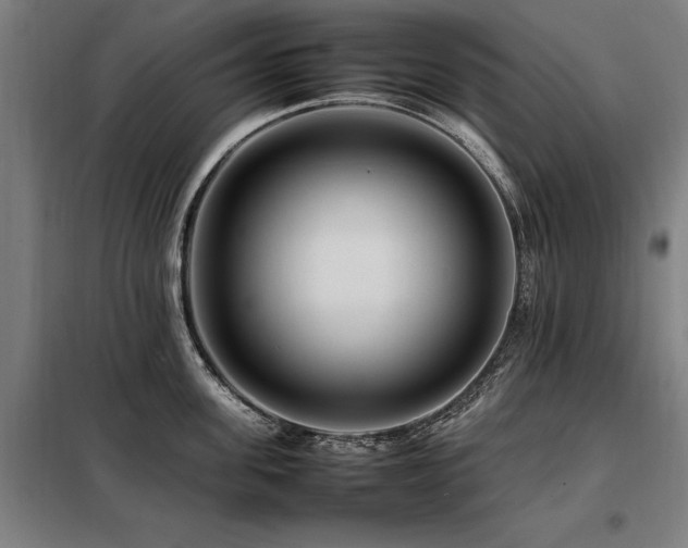X0000098080955200804041145