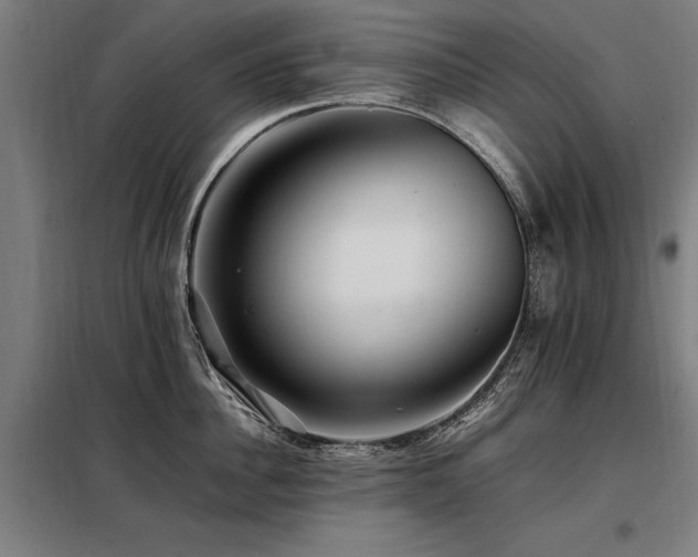 X0000098080956200804041145