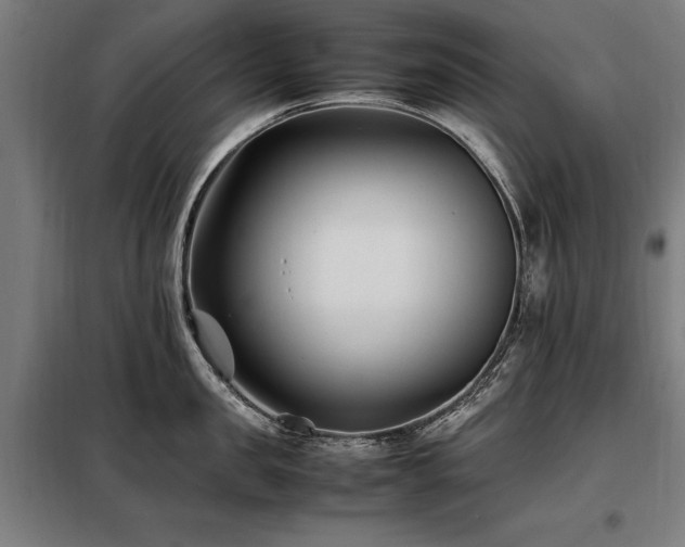 X0000098080957200804041145
