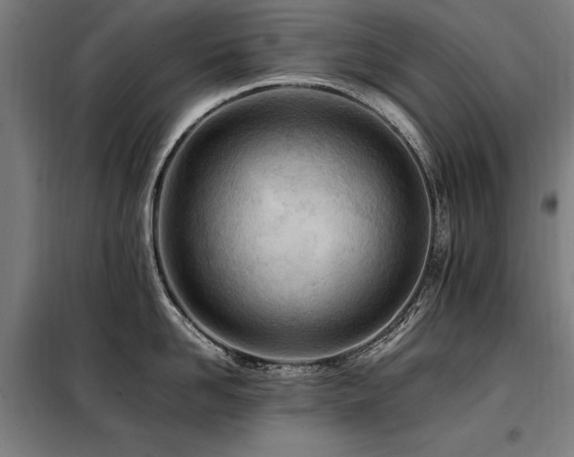 X0000098080958200804041145