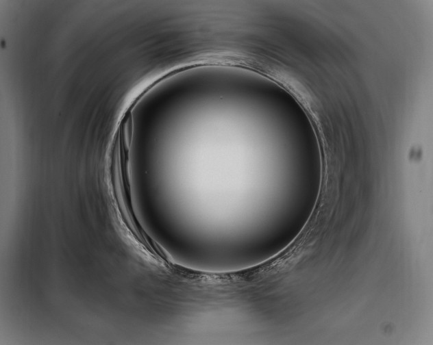 X0000098080960200804041145