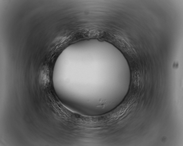 X0000098080962200804041145