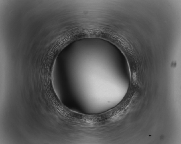 X0000098080963200804041145