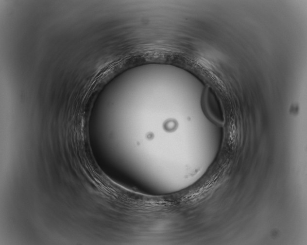X0000098080964200804041145
