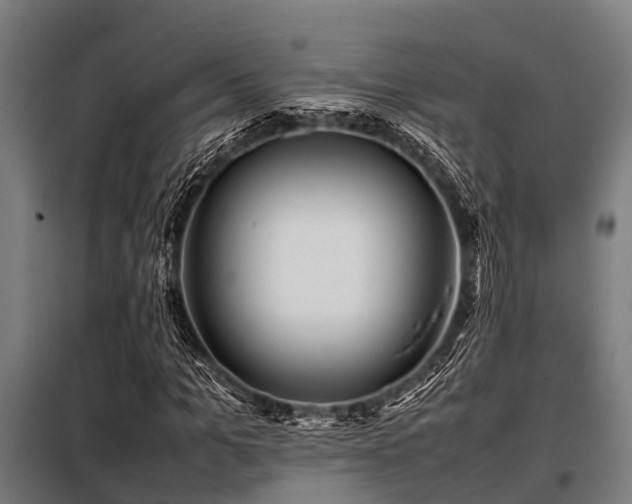 X0000098080965200804041145