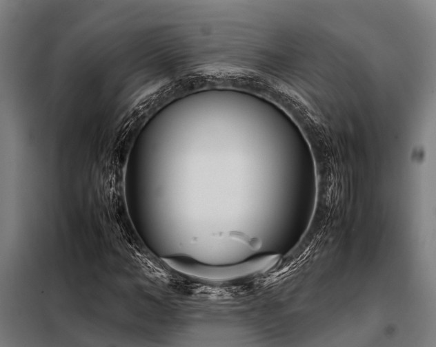 X0000098080966200804041145