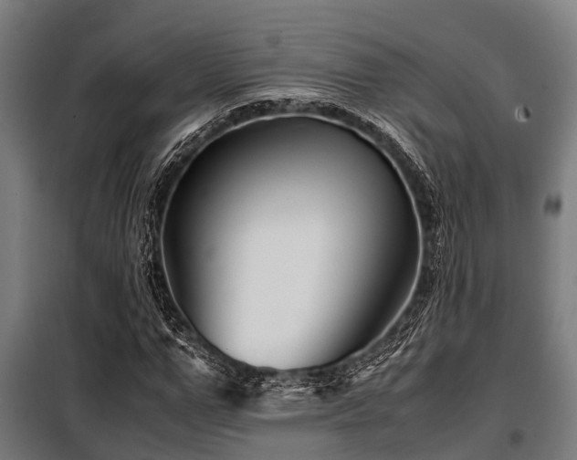 X0000098080967200804041145