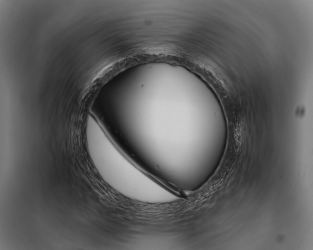 X0000098080968200804041145