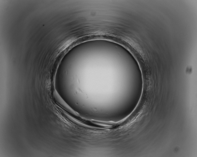 X0000098080969200804041145