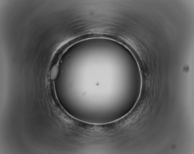 X0000098080971200804041145