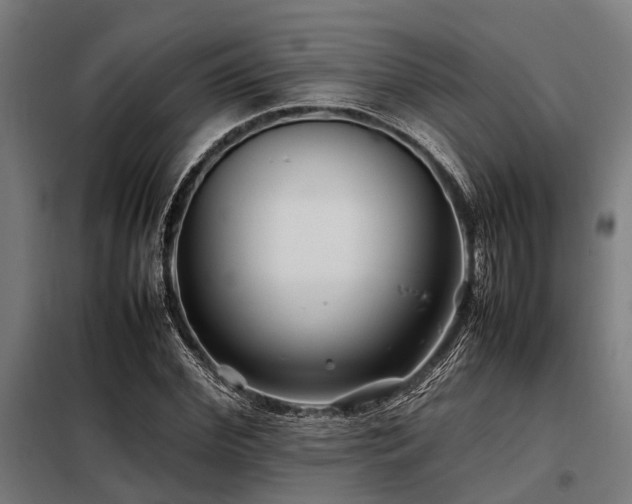 X0000098080972200804041145