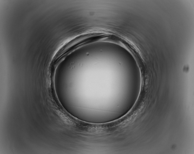 X0000098080973200804041145