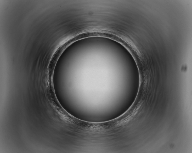 X0000098080974200804041144