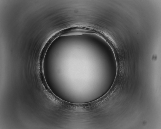 X0000098080976200804041144