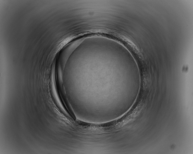 X0000098080977200804041144