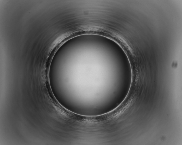 X0000098080978200804041144