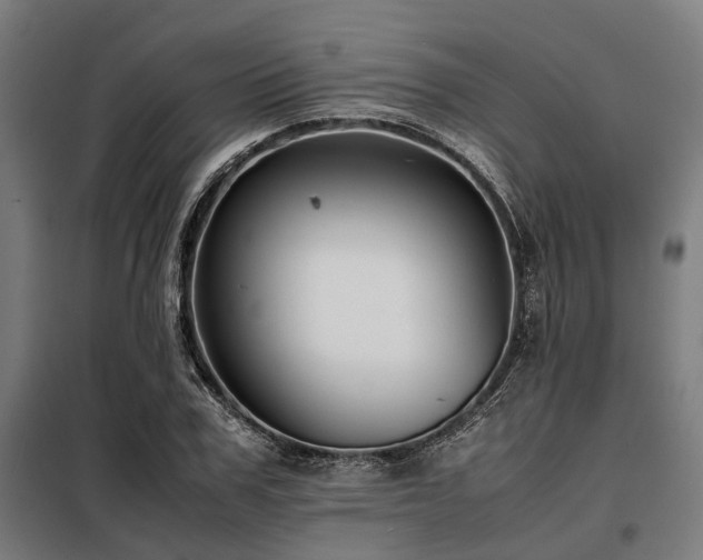 X0000098080979200804041144