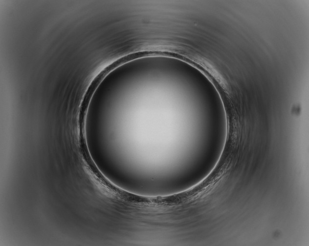 X0000098080980200804041144