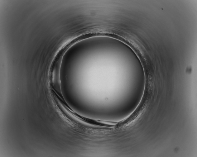 X0000098080981200804041144