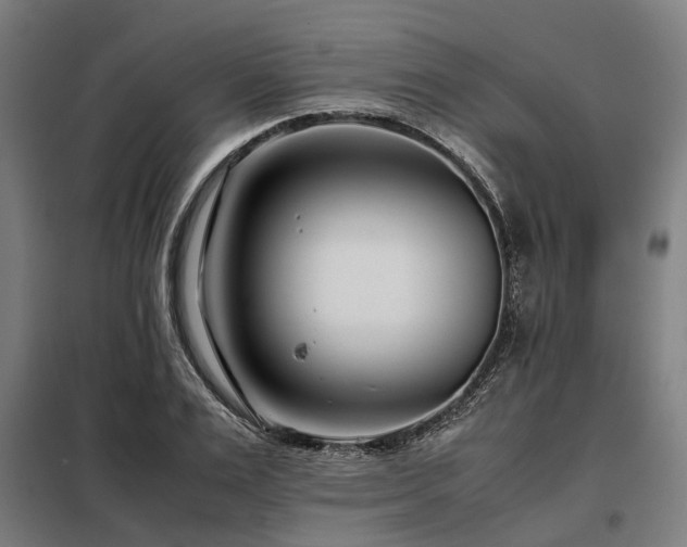 X0000098080983200804041144