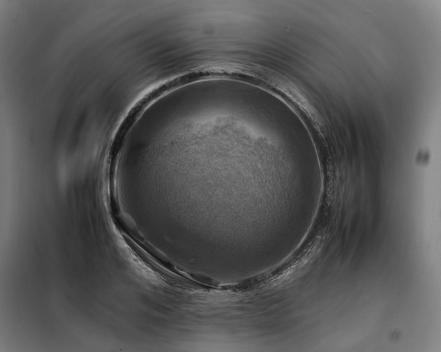 X0000098080984200804041144