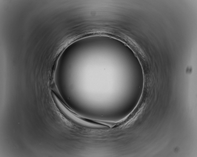 X0000098080985200804041144