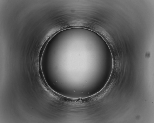 X0000098080986200804041144