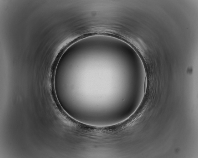X0000098080987200804041144