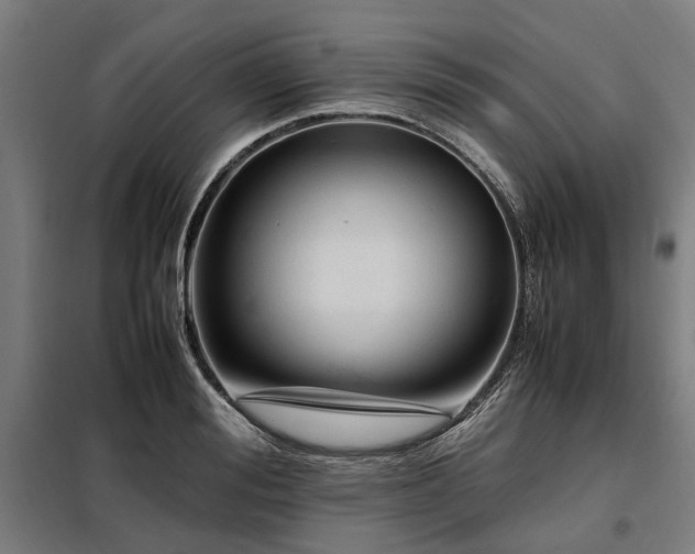 X0000098080988200804041144