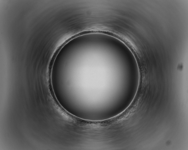 X0000098080990200804041144