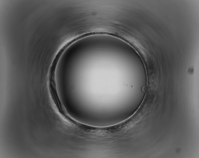 X0000098080991200804041144