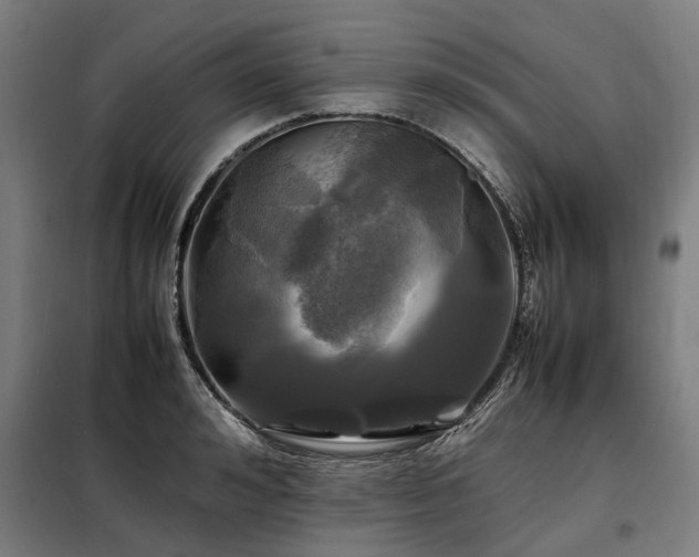 X0000098080992200804041144