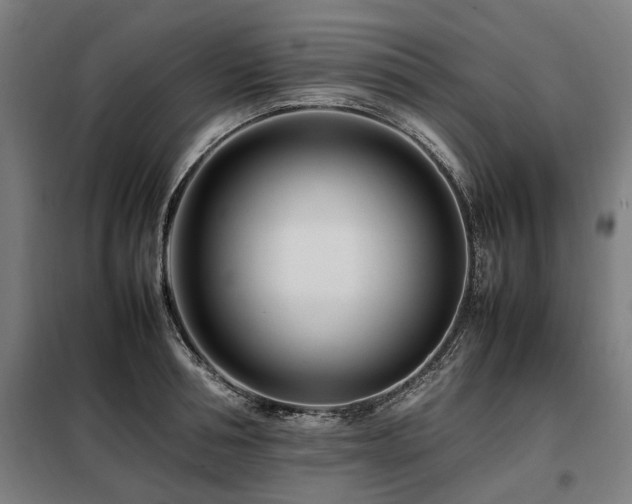 X0000098080994200804041144