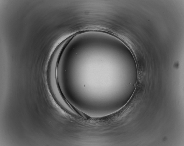 X0000098080995200804041144