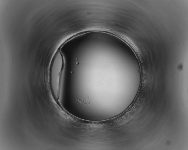 X0000098080996200804041144