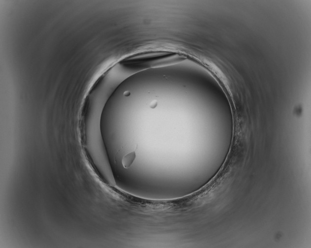 X0000098080997200804041144